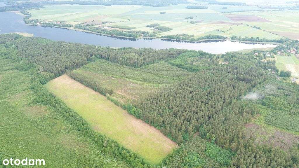 Działka w otulinie lasu niedaleko jeziora Makosiej - Pełny obrazek: 5/8