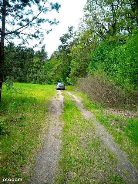 Duranów - Sprzedam działki pod lasem-3