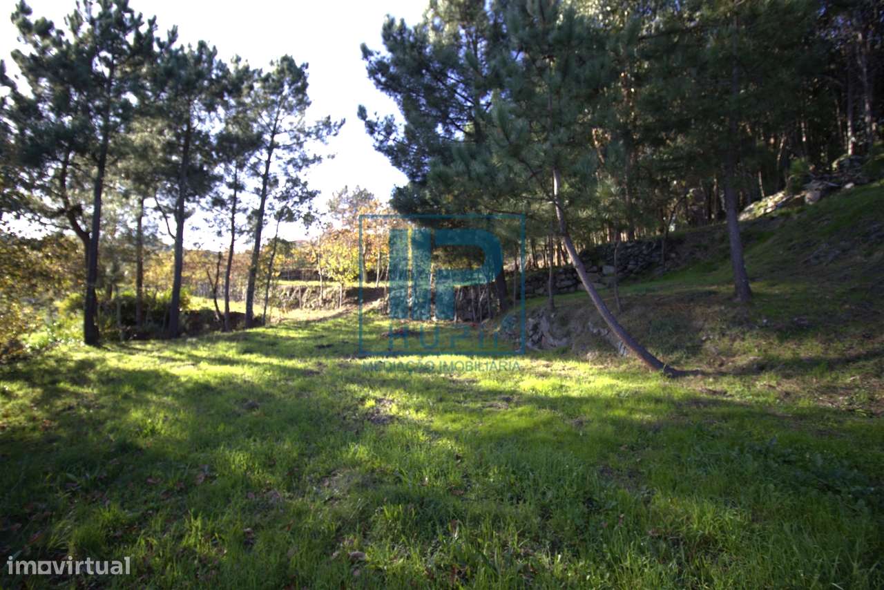 Quinta T3+1 Venda em Penhalonga e Paços de Gaiolo,Marco de Canaveses-41