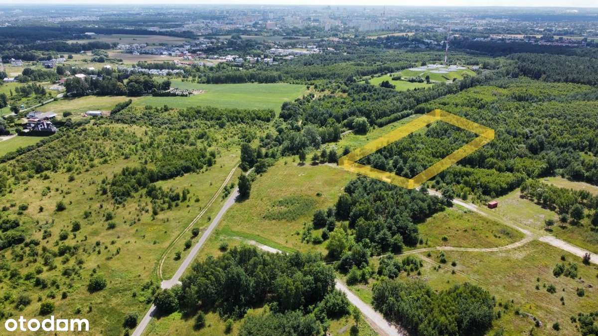 Wyjątkowe 3 działki | Morasko | dom na skarpie - Pełny obrazek: 3/13