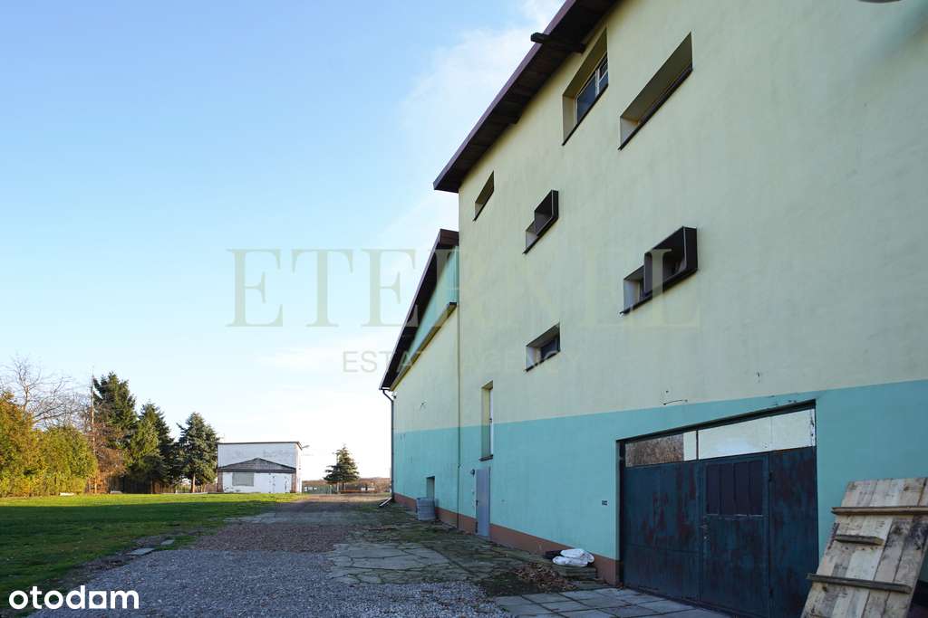 Hala magazynowo-produkcyjna z działką 51 arów-4