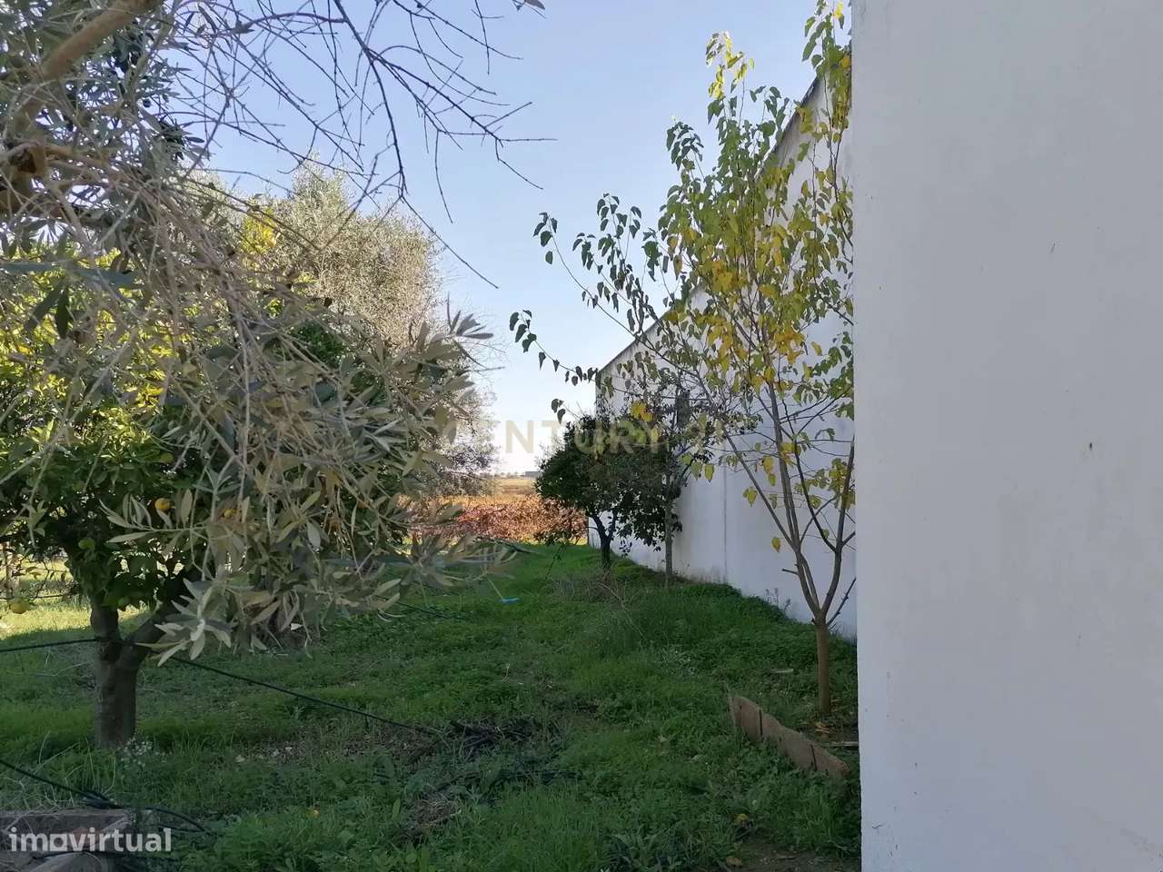 Quinta no Carapetal-34