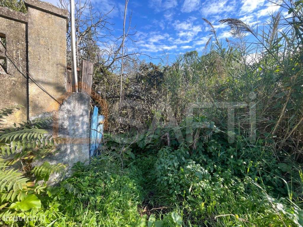 Terreno urbano para construção em Santarém - Grande imagem: 2/23