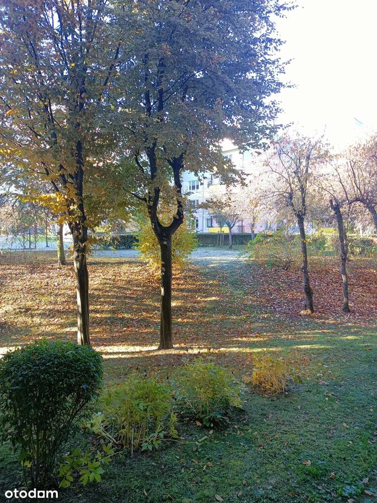 Funkcjonalne mieszkanie 3-pokojowe przy wąwozie – Lublin Czuby-7