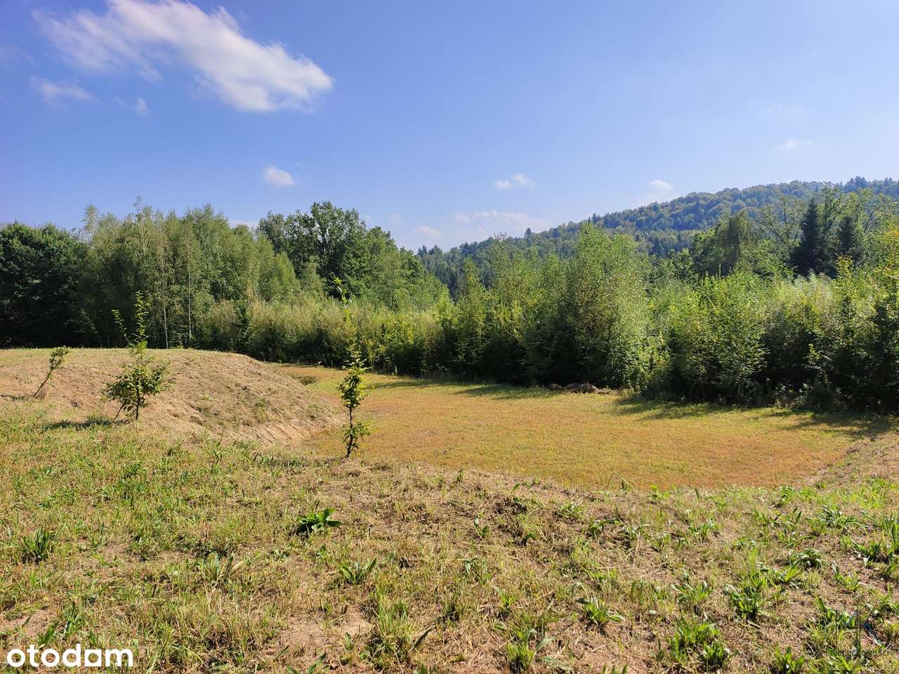 Kobylec, gmina Łapanów – działka budowlana z własnym stawem.-5