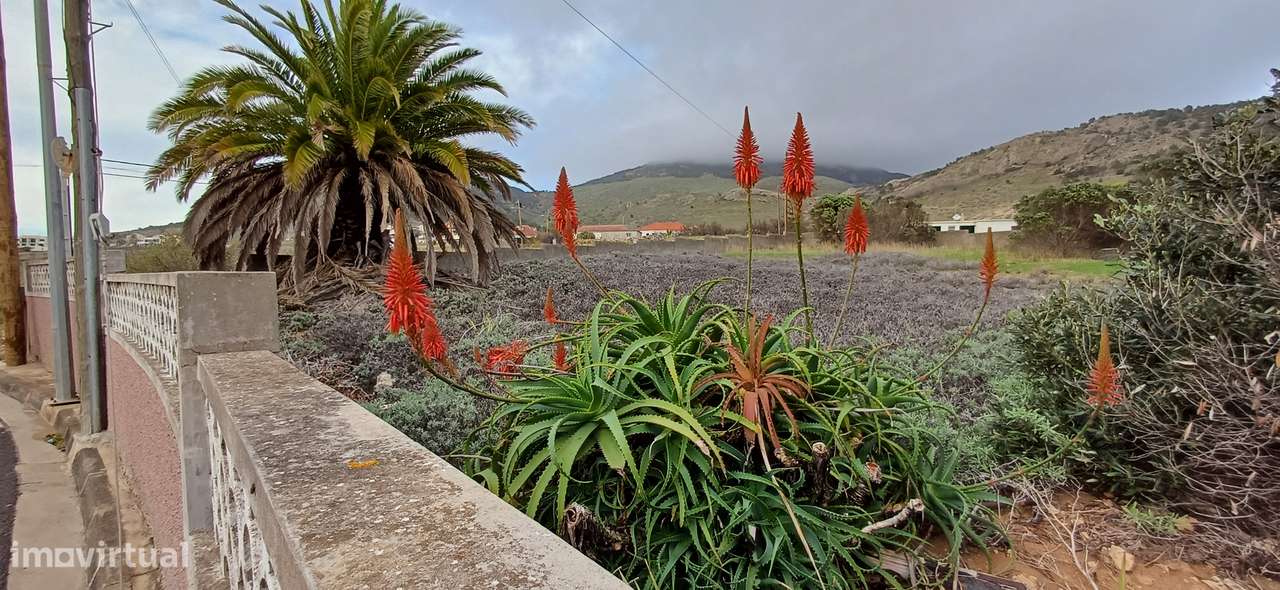 Moradia independente ( 802 m2 ) Er 233 Casinhas Porto Santo - Grande imagem: 3/56