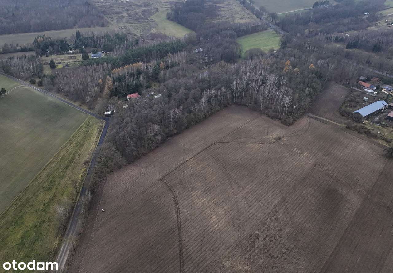 Pęchcin | Działka BUDOWLANA 1133 m² | Z Wydanymi Warunkami Zabudowy! - Pełny obrazek: 5/14