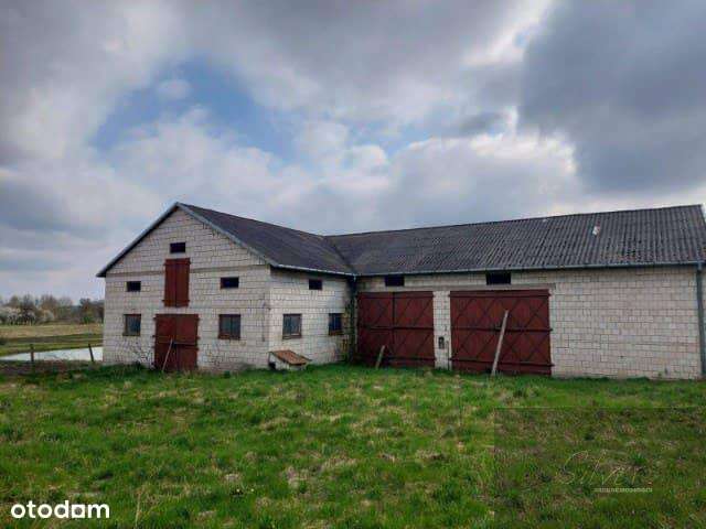 Na sprzedaż gospodarstwo rolne - Pełny obrazek: 5/5