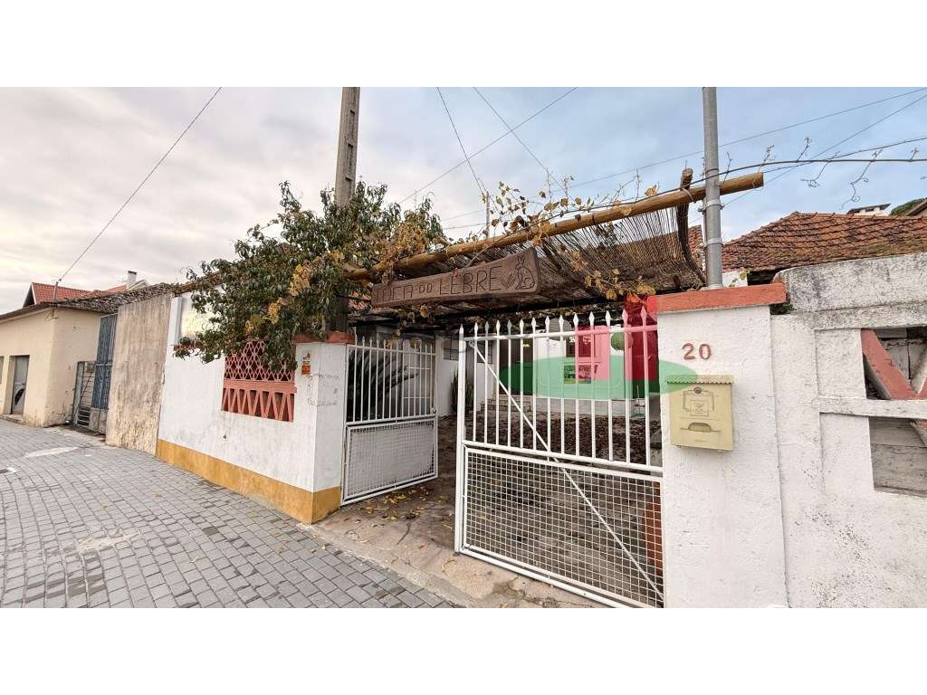 Restaurante Alcanede***RIOMAGIC*** - Grande imagem: 2/34