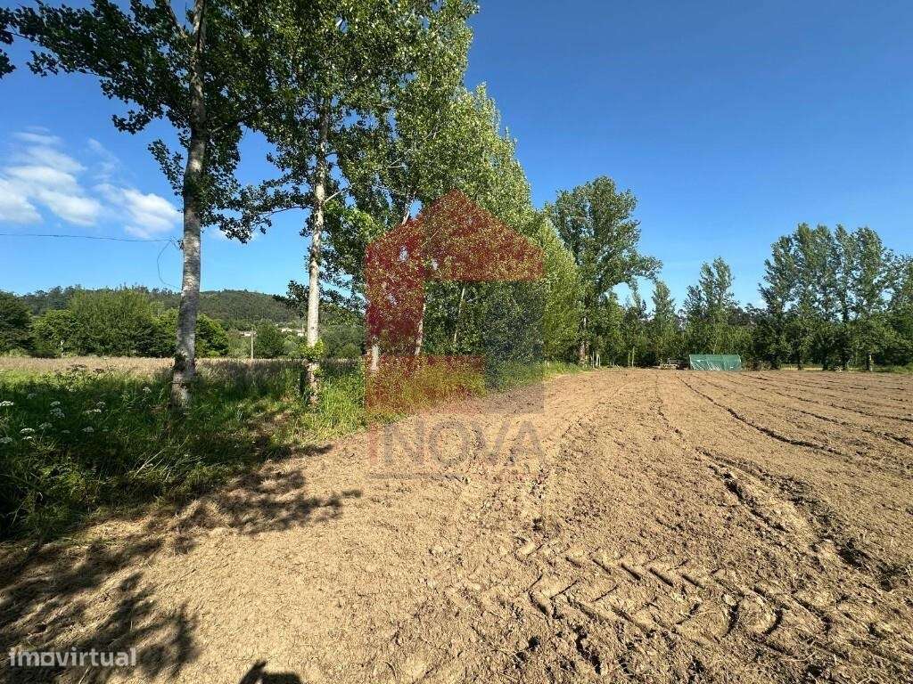 Terreno agrícola, Carreiras São Miguel - Grande imagem: 4/25