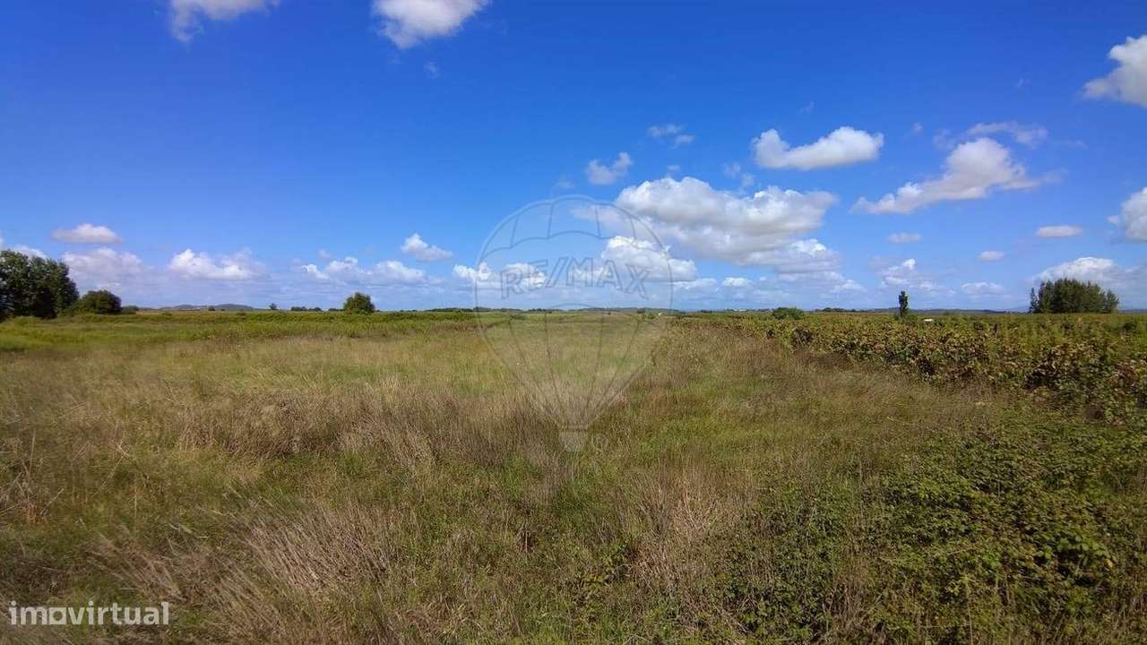 Terreno  para venda - Grande imagem: 4/5