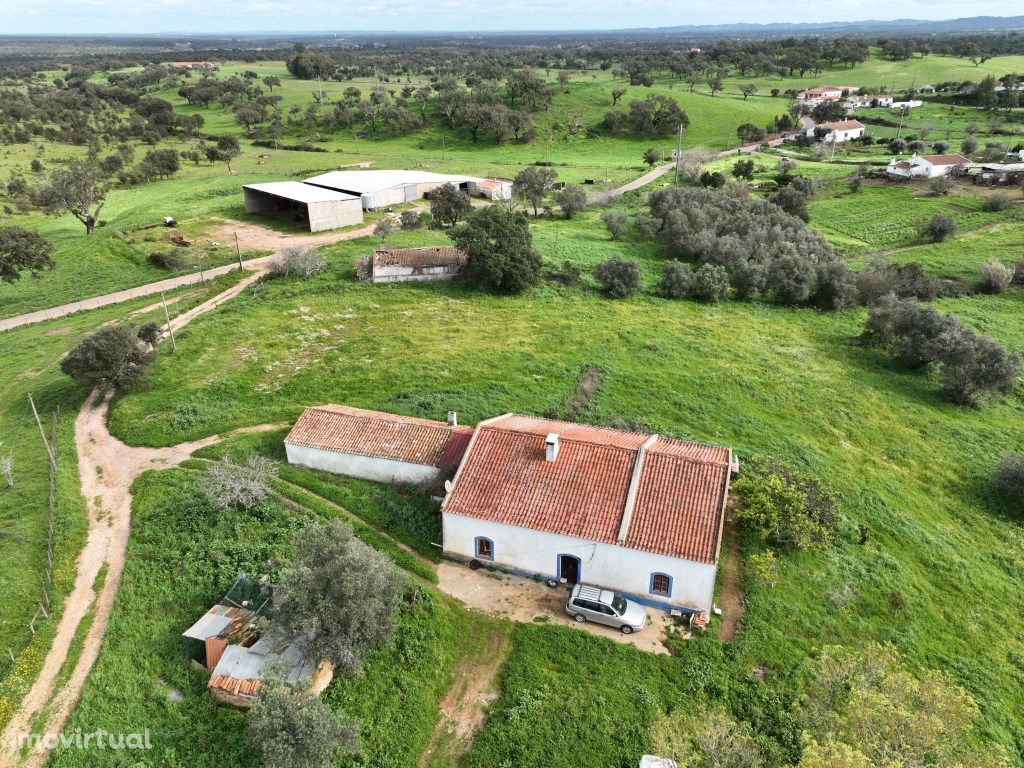 QUINTA LOCALIZADA A 5 KM DA BARRAGEM DE CAMPILHAS