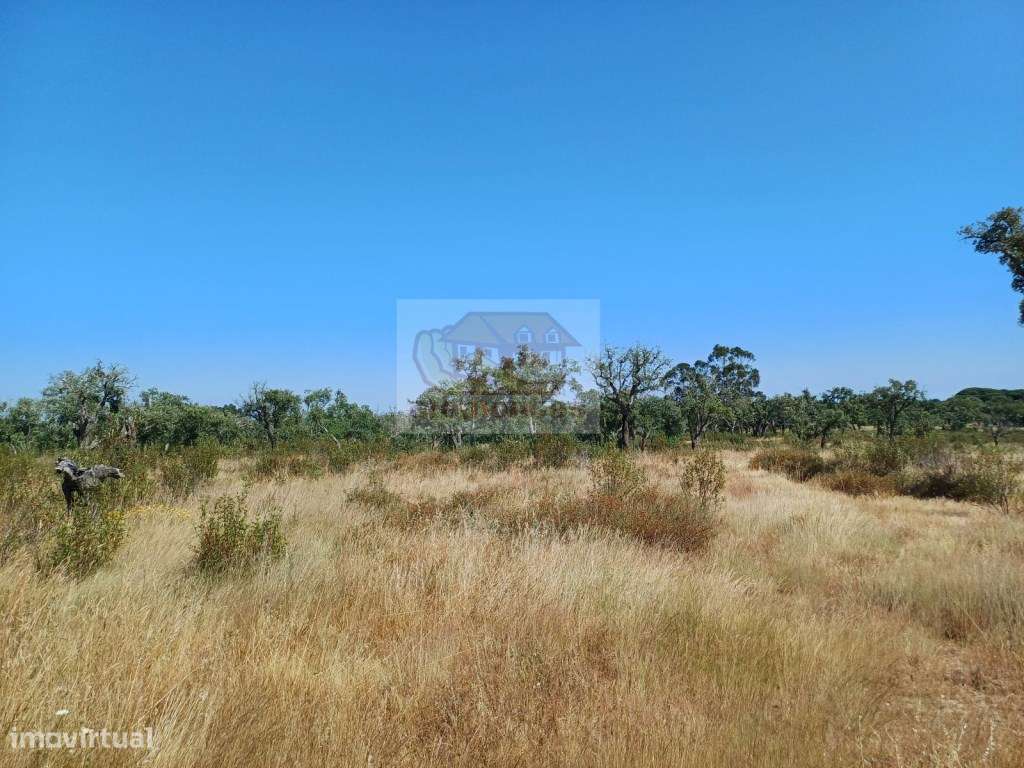 Terreno com 7 hectares - viabilidade para habitação e Turismo-6