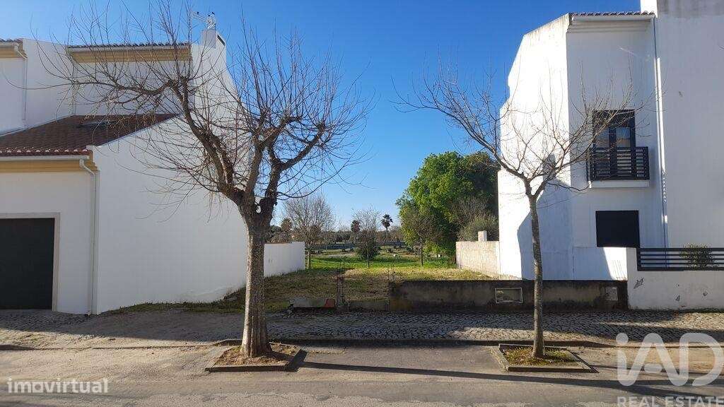 Terreno para construção em São Brás e São Lourenço - Grande imagem: 5/12