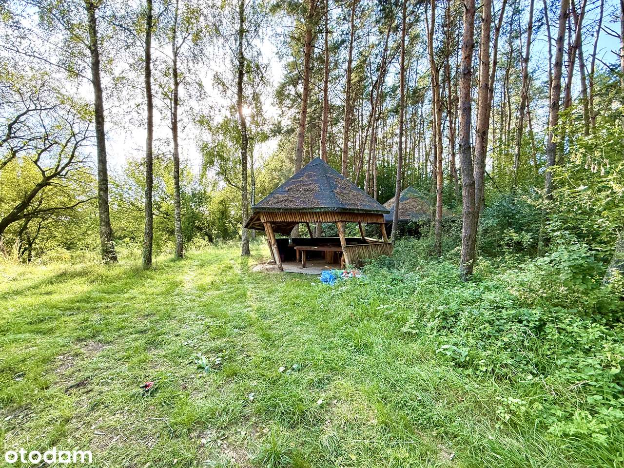Działka w sercu lasu z dostępem do rzeki Liwiec - Chodów-11