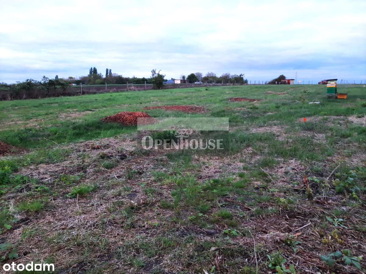 Na sprzedaż działki - Ruszowice - Pełny obrazek: 4/7