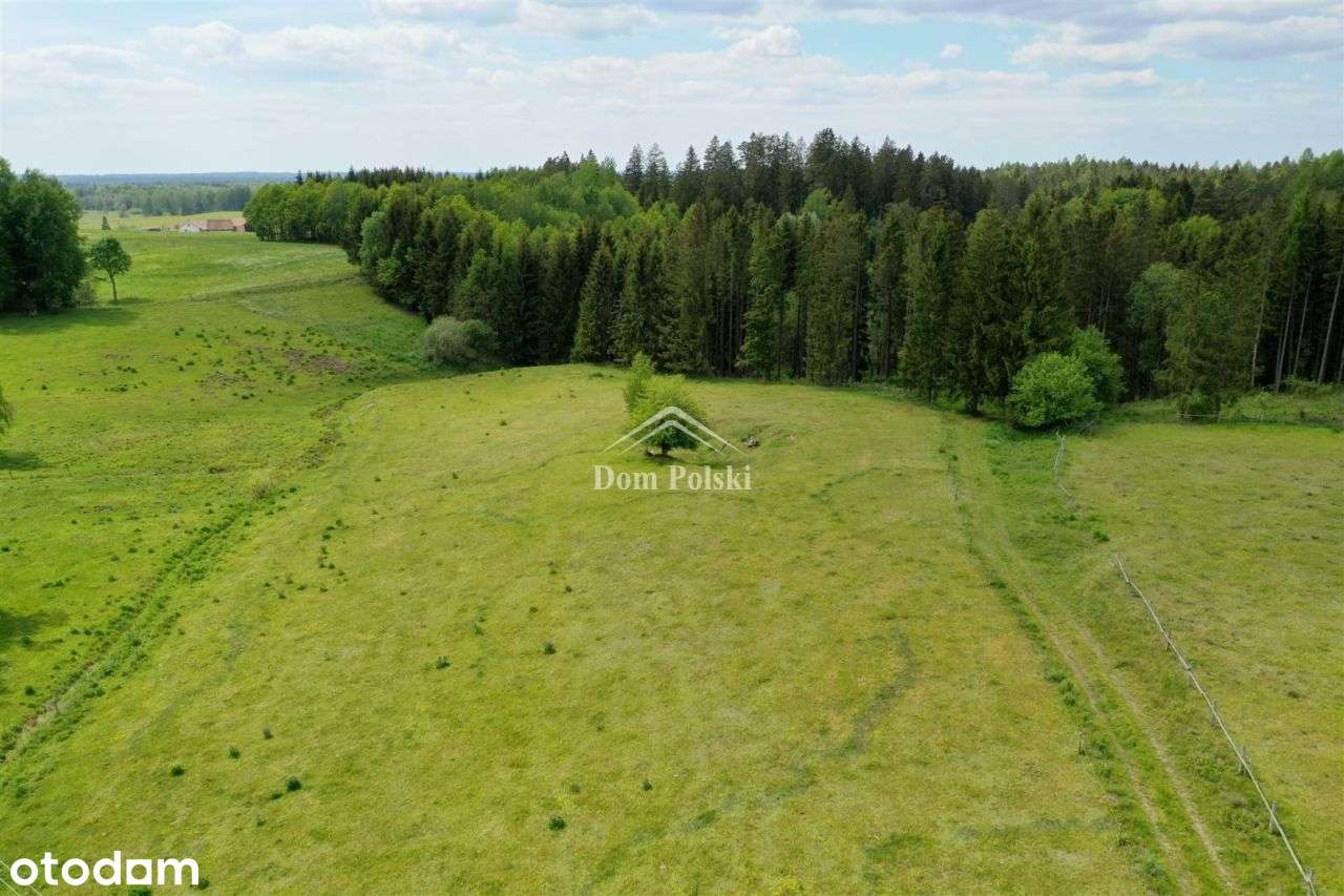 Działka 3473 m2 - Jabłonowo - Puszcza Borecka - Pełny obrazek: 5/19