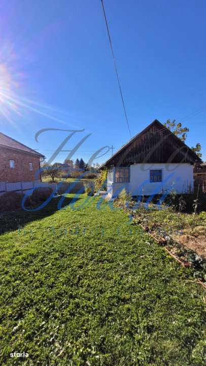 Teren intavilan, 4800 mp, front la strada, utilitati, Rasca - Imagine principală: 2/11