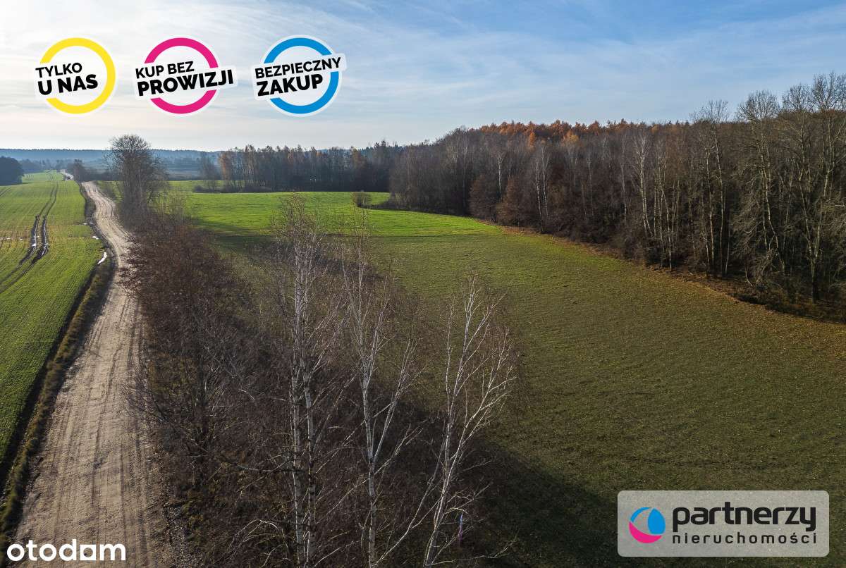 Działka Warcz, powiat gdański 11 070 m² - Pełny obrazek: 4/15