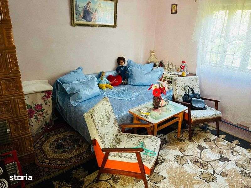 Case de vanzare si teren intravilan 1.566 mp - Scarisoara OLT - Imagine principală: 4/8