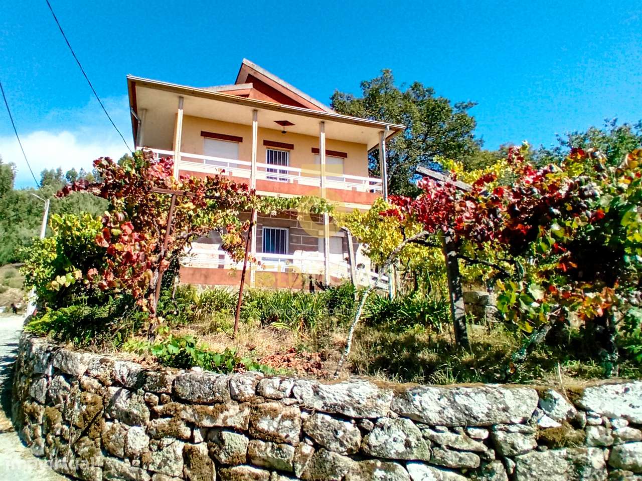 Moradia T4 Venda em Espadanedo,Cinfães - Grande imagem: 4/46