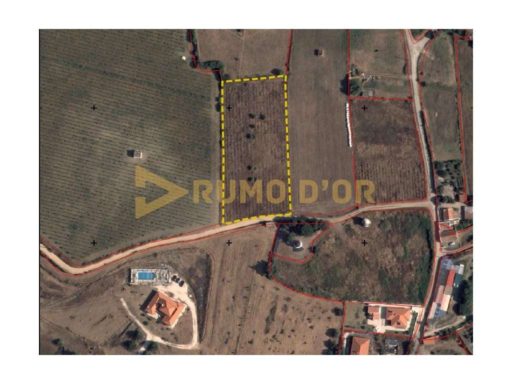 Terreno Rústico com 4.800 m² em Curvel - Torres Vedras-0