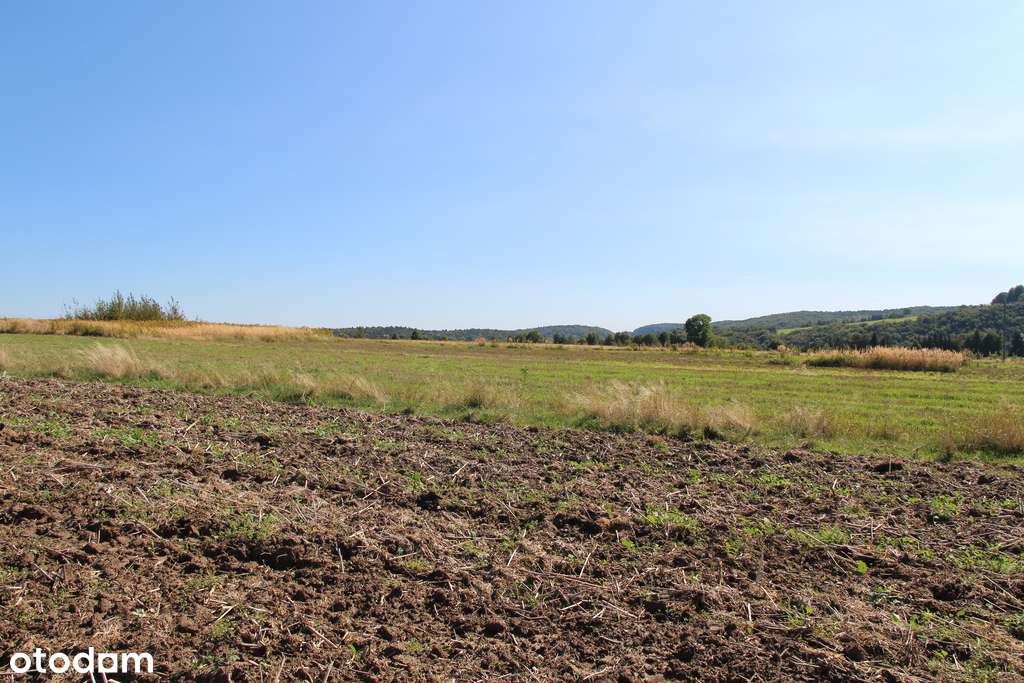 Działka budowlano - rolna przy Parku Ojcowskim-6