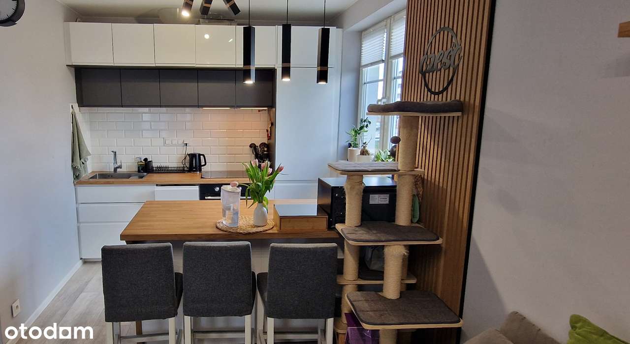 Mieszkanie, 2 pokoje, gotowe do wprowadzenia - Pełny obrazek: 4/20