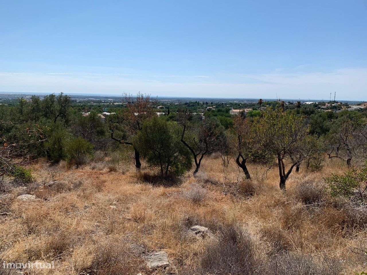 Terreno Urbano, com 3 artigos, Colmeal-37