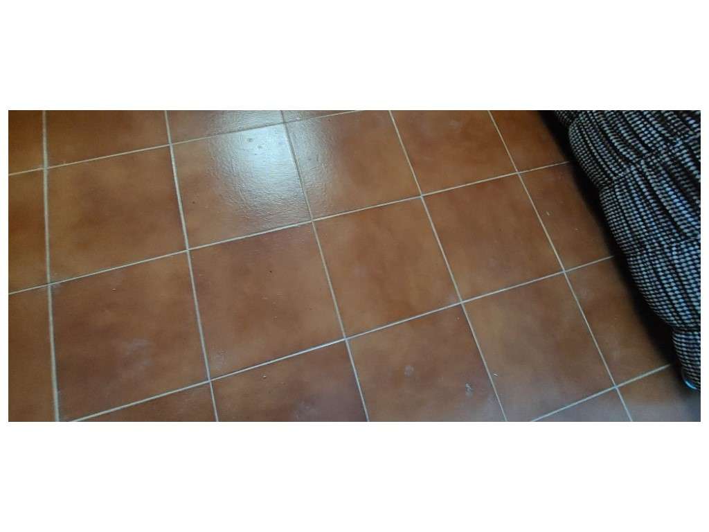 HERDADE 92 ha l Colos-15