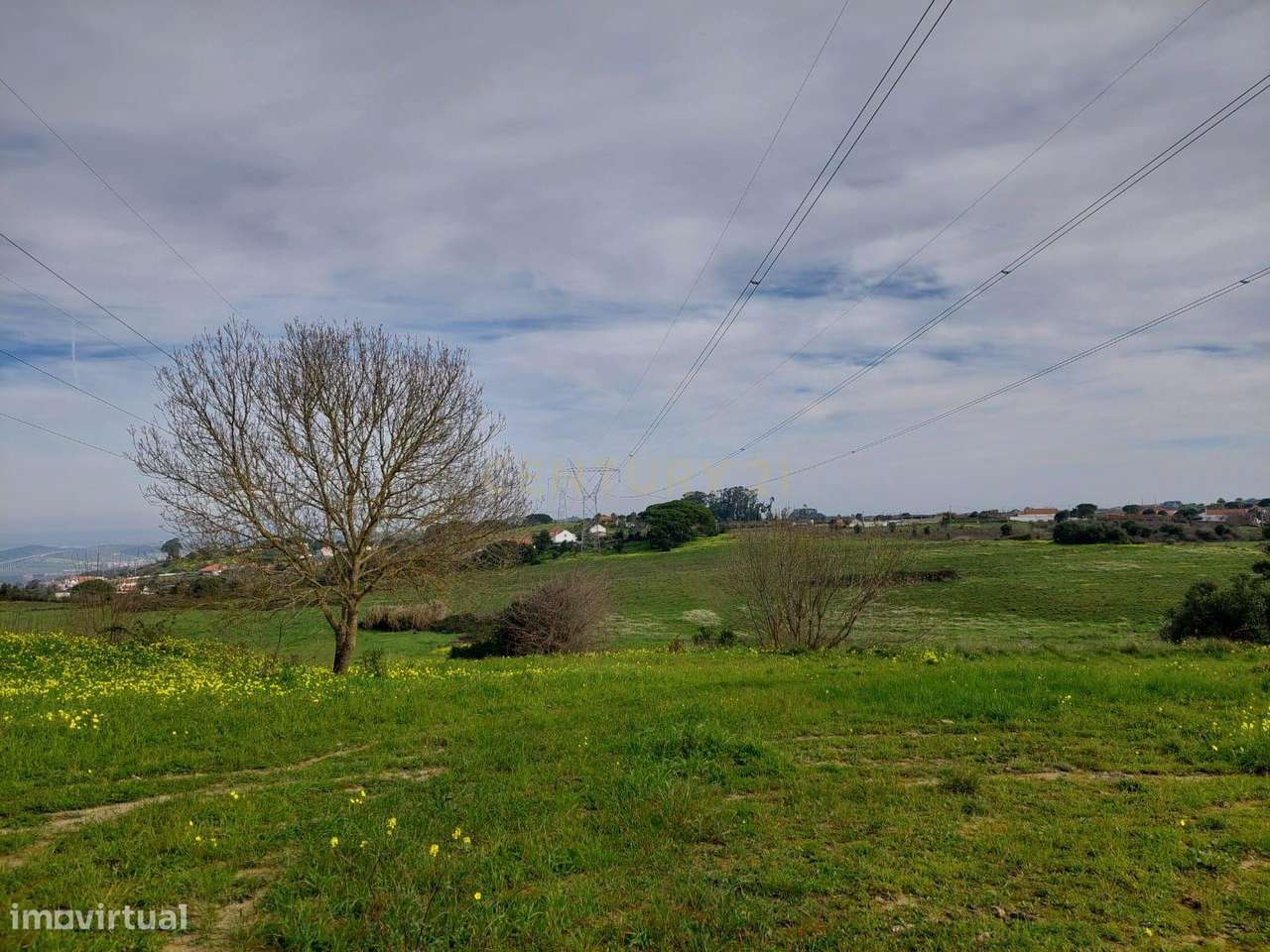 Quinta - 25 hectares-19