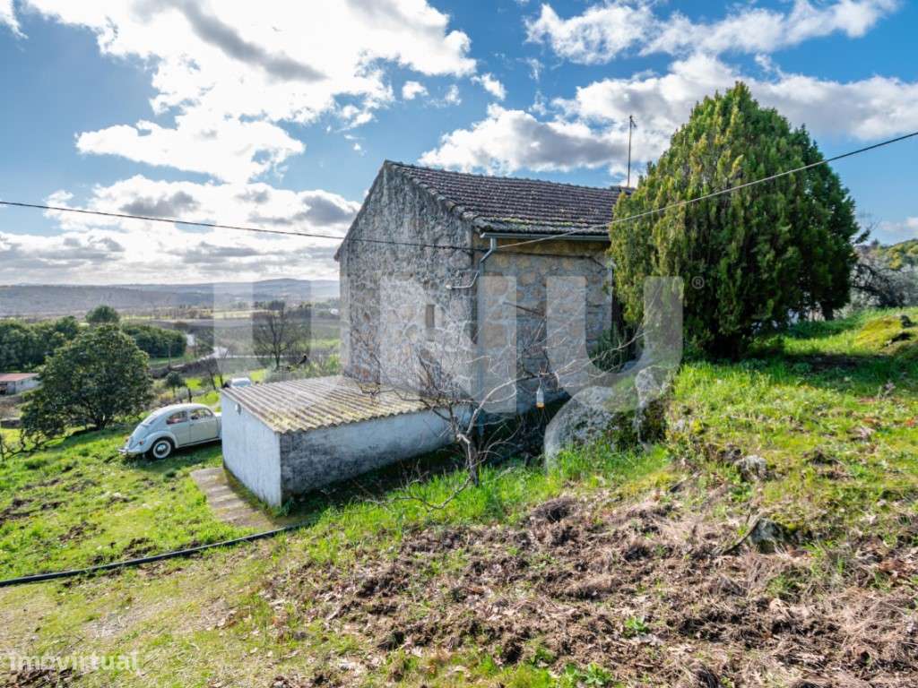 Quinta T2 com Habitação, Infraestruturas Agrícolas e Terreno com Vi...-16