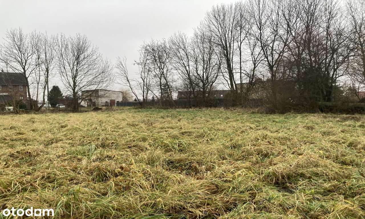 Działka 5307 m.kw KRYNICZNO - Pełny obrazek: 4/7