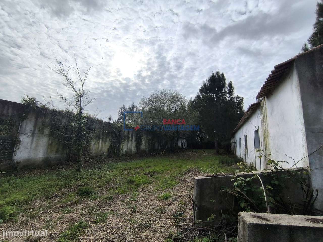 Moradia – Rio Maior, Ribeira de Santo André - Vista 5