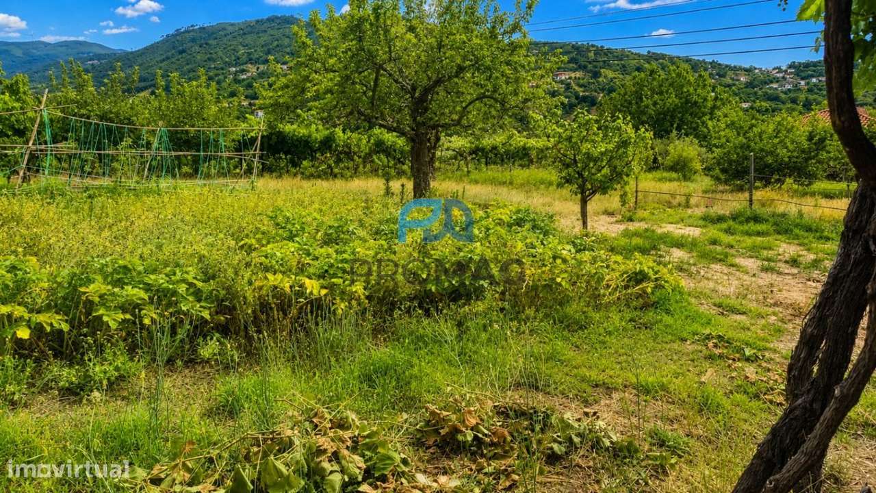 Quinta T6 em São Martinho de Mouros-47