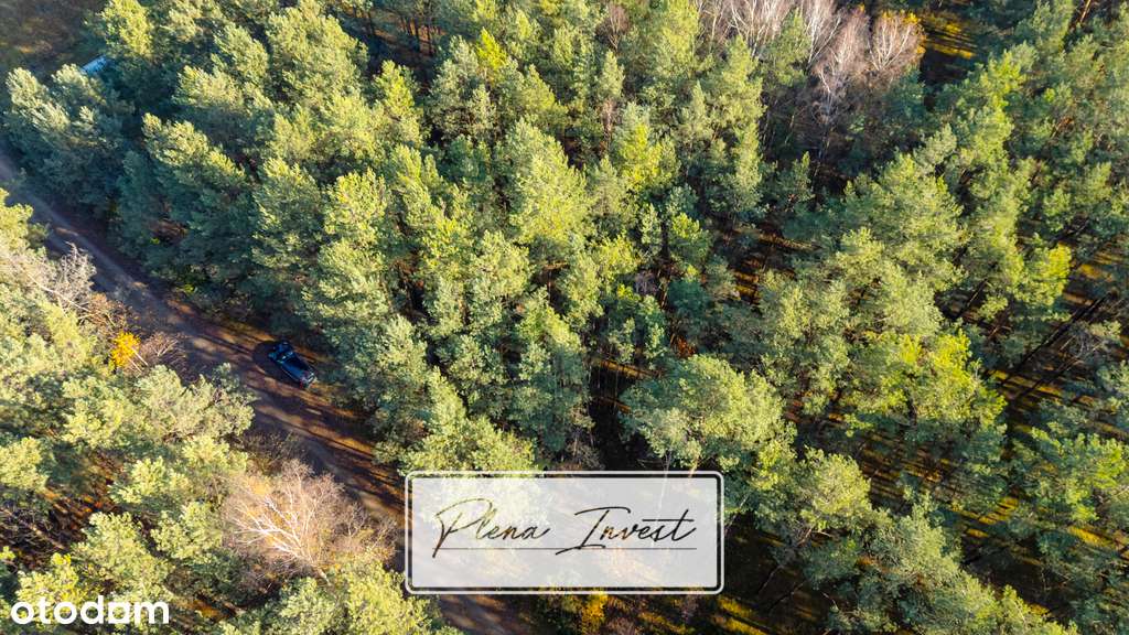 Piękny las | prywatność | plan zagospodarowania-4