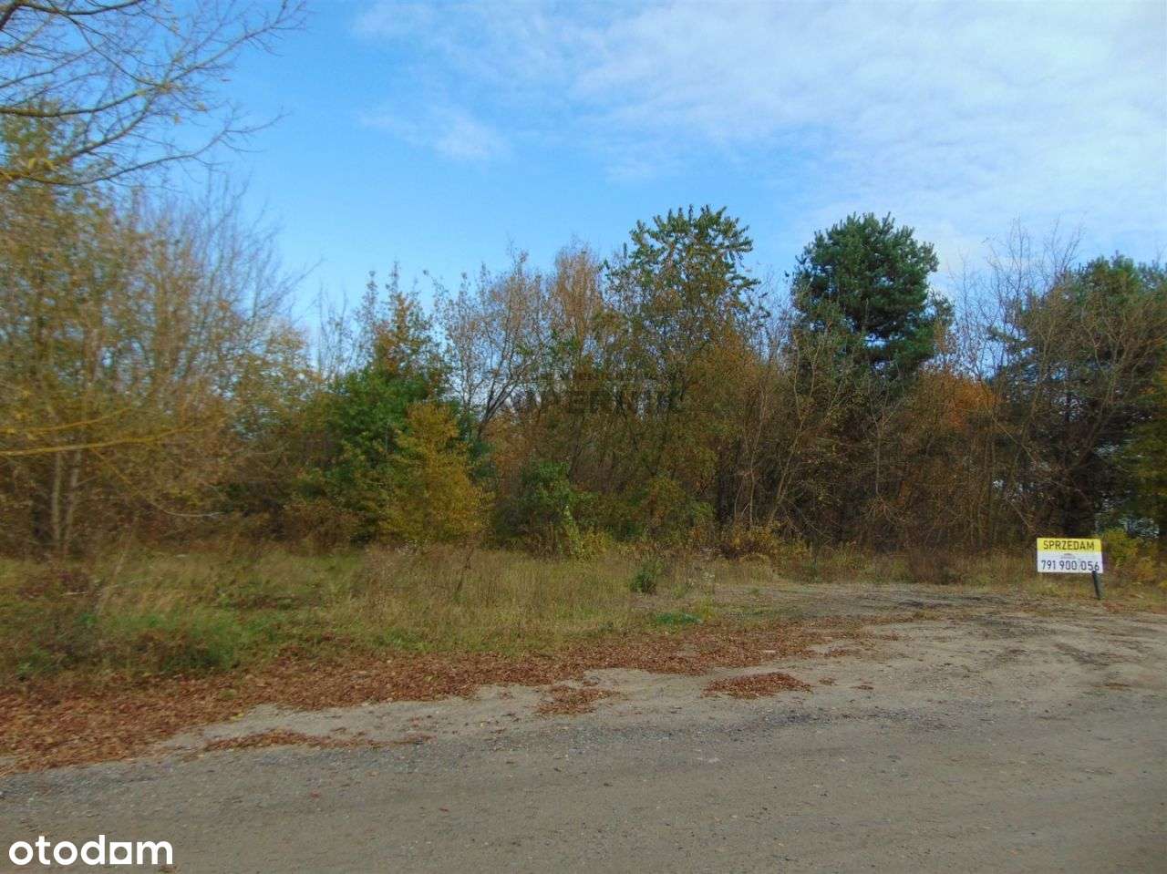 Trzy Działki !!! Toruń Rudak 5353m2 - Pełny obrazek: 4/5