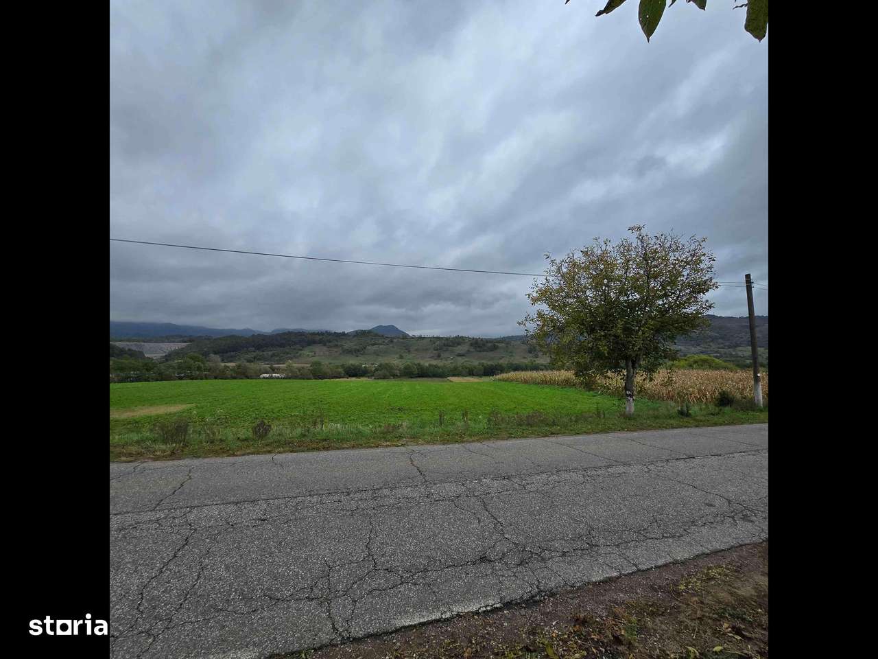 Vând teren drept la asfalt Certej. - Imagine principală: 1/4