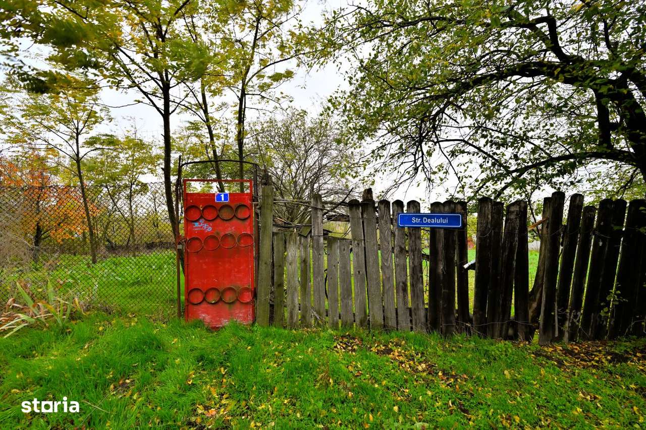 Vanzare teren de COLT 682mp Balta Lilieci Sat Lilieci Sinesti Ialomita-6