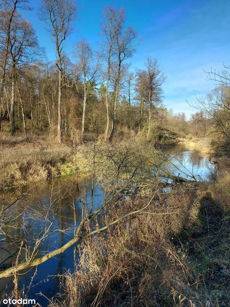 Dom, 86 m², Cieślin-14