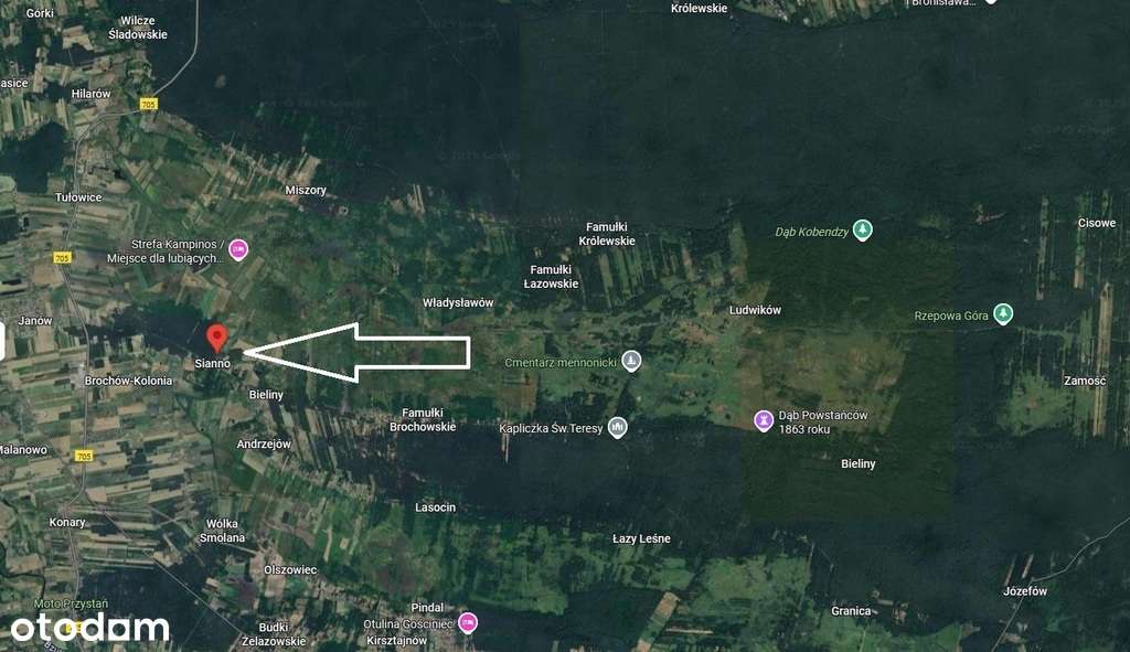 Działka rekreacyjna Sianno graniczy z Kampinosem - Pełny obrazek: 5/19