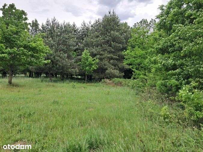 Działka, 10 400 m², Dąg-4