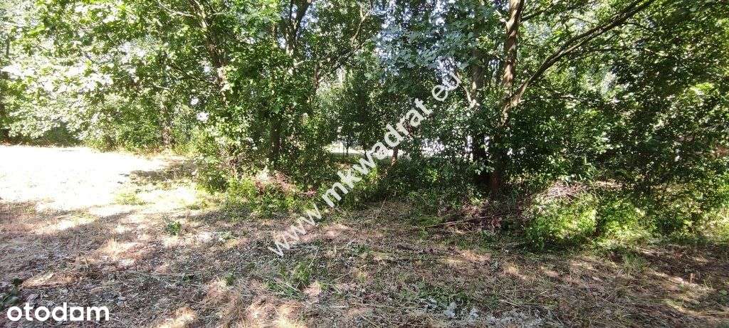 ⭐⭐⭐⭐⭐ Blisko Wkd Z Warunkami Zabudowy Media! ⭐⭐⭐⭐⭐-7