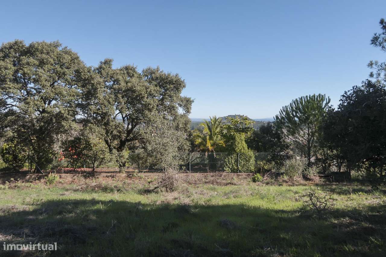 Terreno Urbano - 2 Artigos - Vale da Perra - Fátima - Ourém-7