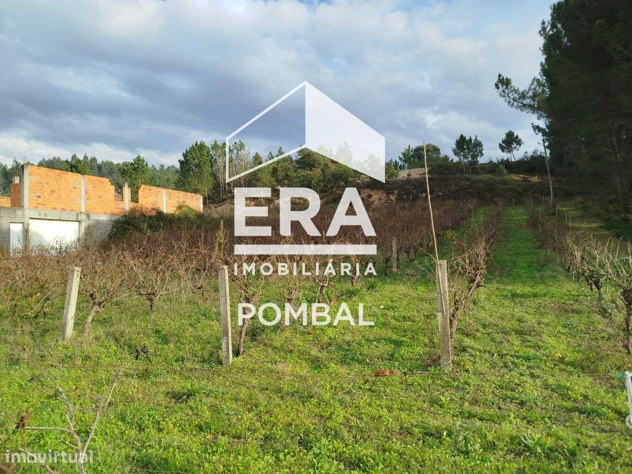 Terreno para construção localizado em Louriçal, Pombal - Grande imagem: 4/5