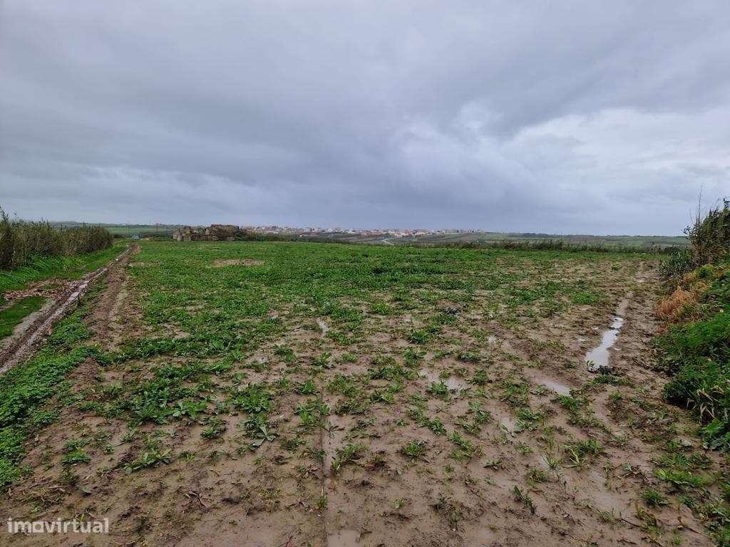 Terreno Para Agricultura em Torres Vedras-6