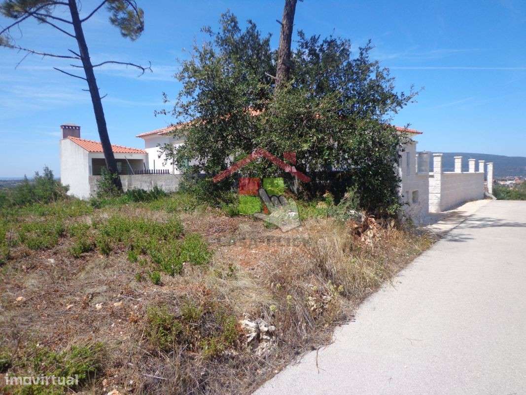 Terreno Rústico T0 Venda em Chancelaria,Torres Novas-9