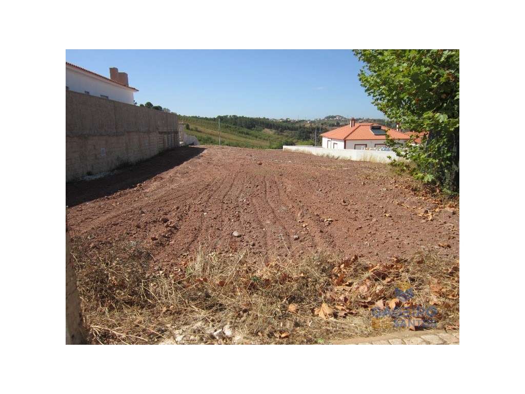 Lote Venda Cadaval - Grande imagem: 4/5