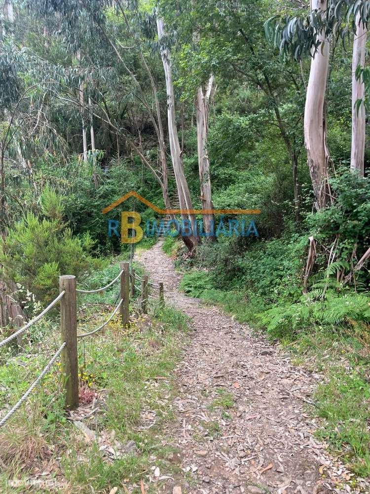 3 moradias em Rio de Frades - Arouca-15