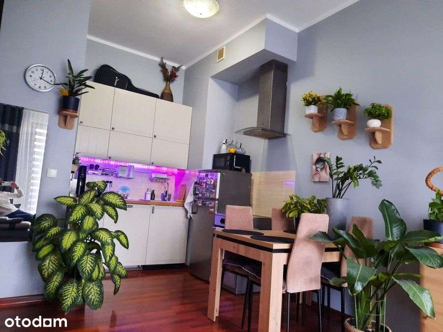 Mieszkanie dwupokojowe z garażem w cenie!-3